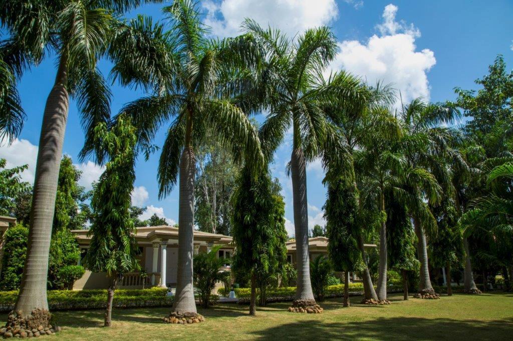 Tiger'S Den Resort Bandhavgarh National Park Eksteriør bilde
