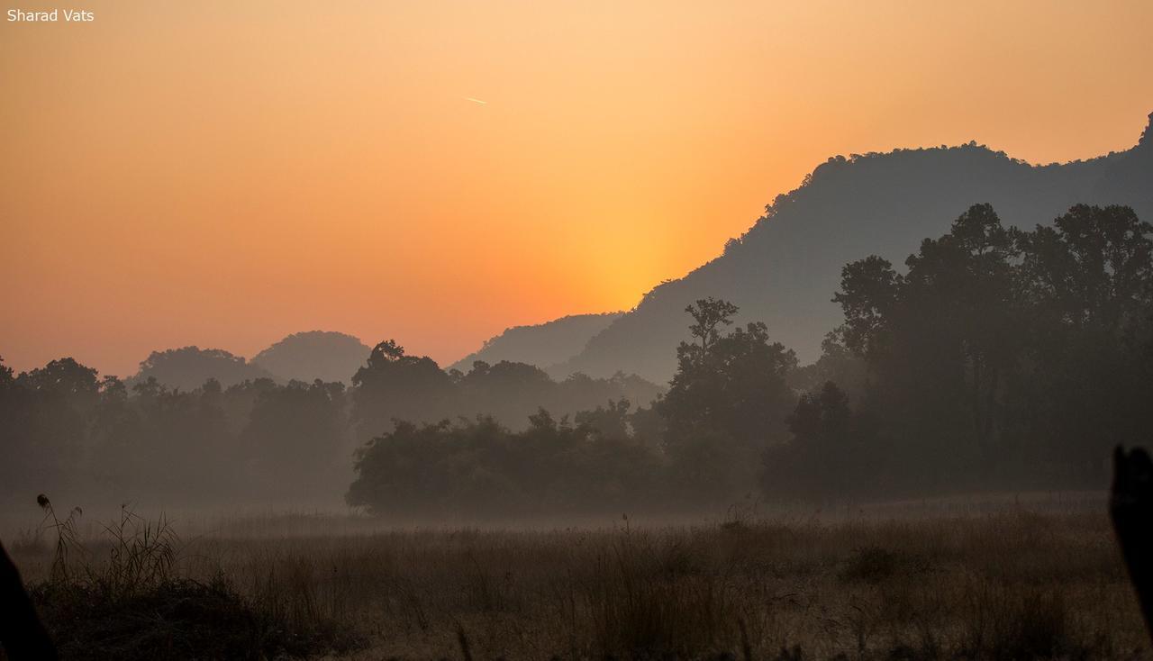 Tiger'S Den Resort Bandhavgarh National Park Eksteriør bilde